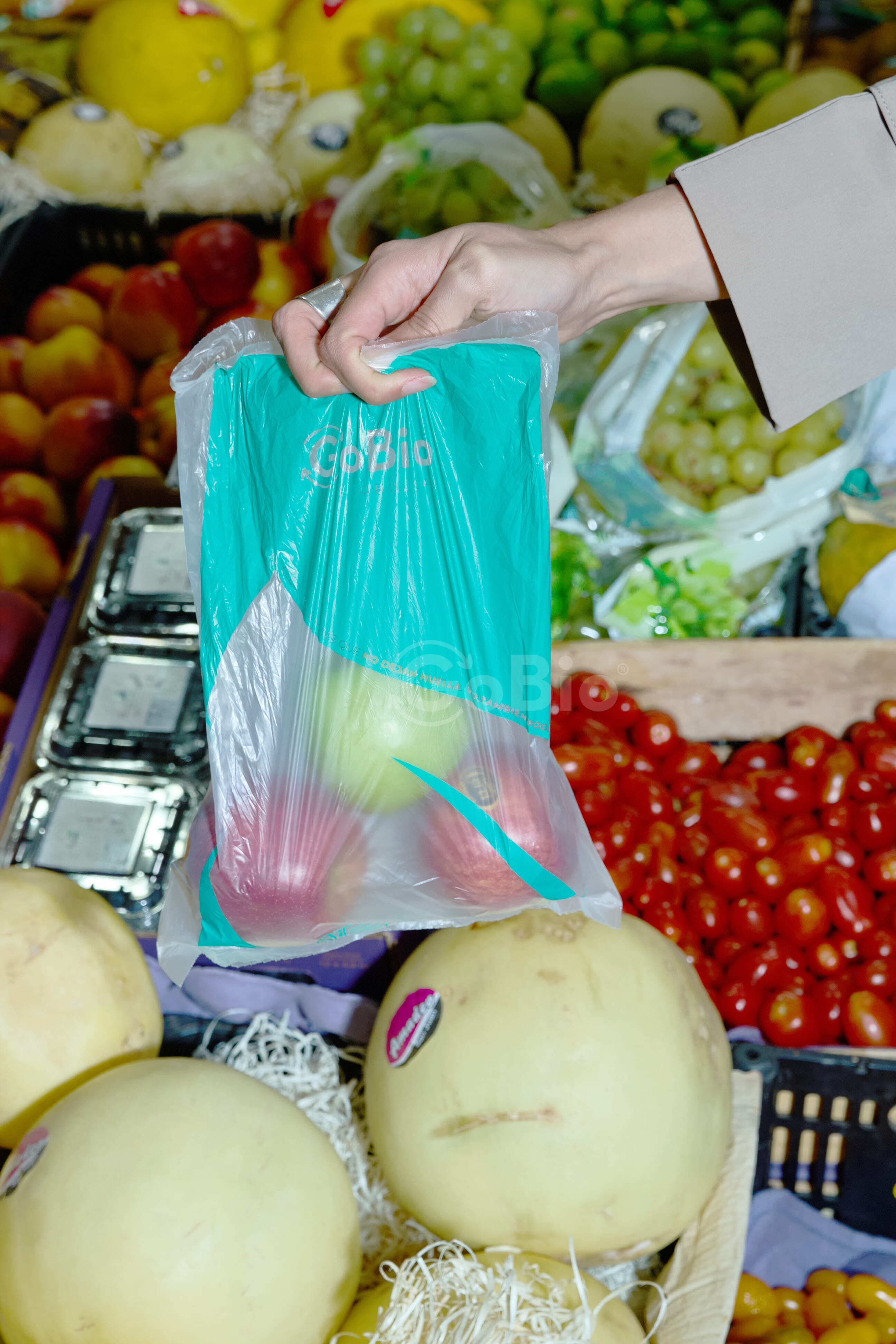 Bolsas biodegradables 3